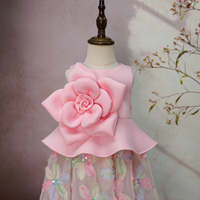 Robes de princesse pour petites filles et jeunes enfants, de haute qualité, personnalisées, de marque d'usine, pour fêtes d'anniversaire et spectacles