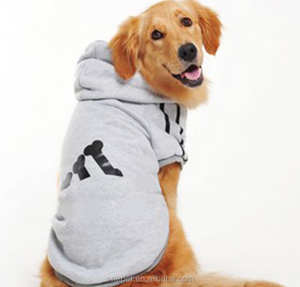 Sweat à capuche pour chien <span class=keywords><strong>Golden</strong></span> <span class=keywords><strong>Retriever</strong></span>, vêtement à la mode, grand gabarit - Product Image 4