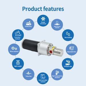 ปั๊มเกียร์แม่เหล็กทนความร้อนสูงแบบปรับแต่งได้ 24V 60W 5 บาร์ ซีล EPDM/PTFE มอเตอร์แบบปิดสนิทไม่มีช่องระบายอากาศ รับประกัน 1 ปี - Product Image 4