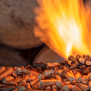 Pellets de Pino Certificados Estándar ENplus A1, Combustible de Alta Pureza y Bajas Emisiones para Estufas y Calderas, Biocombustible Premium - Product Image 4