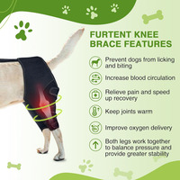 Genouillère pour chien avec harnais pour jambe déchirée CCL Luxating Patella Dog Genouillères pour jambe arrière Joint chaud et soulage les douleurs articulaires