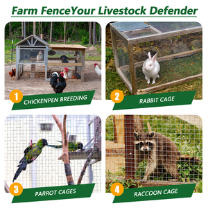 Tùy chỉnh cắt 1/4 "23ga nhúng nóng dây thép mạ kẽm lưới cuộn cho gà thỏ rắn Hươu lồng và hàn hàng rào - Product Image 6