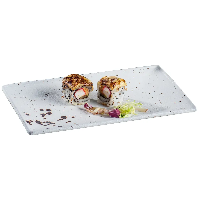 Керамическая посуда для ресторанов и отелей и прямоугольная фарфоровая сервировочная тарелка E609-P-10119