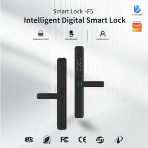 Tuya ttlock nhôm thông minh khóa cửa không thấm nước an ninh ngoài trời Keyless vân tay Wifi mạng thông minh khóa cửa trượt - Product Image 2