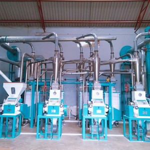 Fresatrice per farina di mais certificata 5tpd | Macinino automatico per mais | Attrezzatura per la lavorazione del grano industriale - Product Image 3