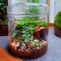Contenants en verre ultra-transparent 2026 avec couvercle, vase en verre respirant, terrarium de table créatif avec fonction de collecte de rosée