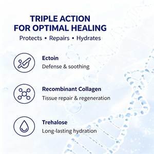 มาส์กป้องกัน<span class=keywords><strong>แผล</strong></span>อีคโทอิน คอมโพสิต สำหรับ<span class=keywords><strong>แผล</strong></span>เล็ก <span class=keywords><strong>แผล</strong></span><span class=keywords><strong>ถลอก</strong></span> <span class=keywords><strong>แผล</strong></span>ขาด ใช้สำหรับมืออาชีพ - Product Image 5