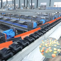 Hotselling industriële automatische avocado sorteermachine met hoge efficiëntie LIJIE LJWS-1000 380V multifunctioneel