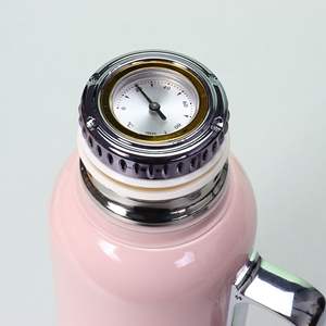 Affichage mécanique intelligent de la température Bouilloire de 850ml Bouilloire portable isolée en acier inoxydable 304 avec <span class=keywords><strong>infuseur</strong></span> à thé - Product Image 3