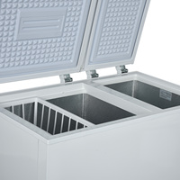 Congélateur coffre horizontal 435L avec porte pleine en mousse, logo OEM personnalisé, vente en gros d'usine pour stockage en supermarché BD-435QE
