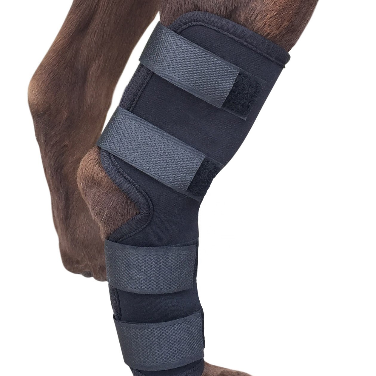 Фиксатор коленный для собак, оригинальный бандаж на колено для растягивания артрита, для рванных задних ног
