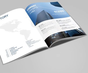 Custom Printed Catalogue Booklet A4 A5 Magazine Offset Printing Paper Brochure for Business Promotion - Product Image 1
