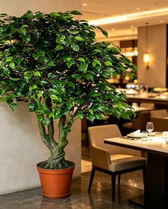 <span class=keywords><strong>Arbre</strong></span> <span class=keywords><strong>banian</strong></span> artificiel réaliste au toucher naturel pour la décoration intérieure et extérieure, patio, véranda, plantes de sol - Product Image 6