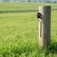 Aislador de Plástico para Poste de Madera con Gran Protección Contra Arco Eléctrico, Alta Resistencia y Protección UV