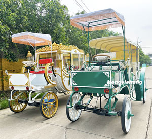 Calèche de mariage Calèche touristique de plein air Calèche royale Visite touristique Calèche à cheval - Product Image 2