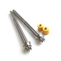Élément chauffant tubulaire 110V 220V 380V DN42 DN50 en acier inoxydable pour générateur de vapeur