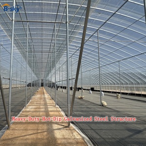 <span class=keywords><strong>Serre</strong></span> commerciale à grande portée en film plastique avec structure en acier galvanisé stabilisé aux UV pour la culture de légumes et de fleurs - Product Image 3