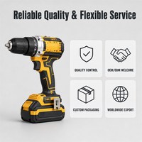 Ensemble d'outils de perçage sans fil, kit d'outils électriques, 2 batteries, chargeur, étui de transport pour la réparation à domicile, bricolage, travaux ménagers