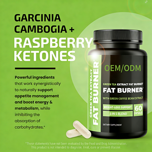 Capsules d'extrait de thé <span class=keywords><strong>vert</strong></span> et de grains de café <span class=keywords><strong>vert</strong></span> végétaliennes OEM, soutien du métabolisme, brûleur de graisse, coupe-faim pour femmes et hommes - Product Image 6