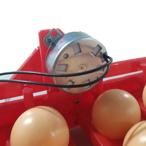 Incubadoras Automáticas para 32 Huevos, Máquina para Incubar Aves - Product Image 5