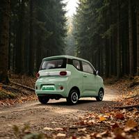 Commande manuelle flexible du rétroviseur latéral Yuantong EV3 L7e homologuée CEE, véhicule électrique à charge rapide, utilisation simple, véhicule urbain