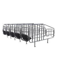 Équipement de ferme porcine professionnel de belle qualité positionnement colonne de limite de porc porcs caisses de gestation Cages pour animaux