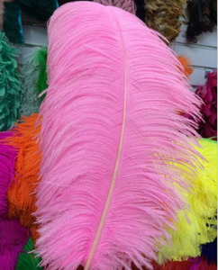 70-75 Cm Hot Bán Thanh Mỏng Tự Nhiên Tẩy Trắng Lông Đà Điểu Lớn Số Lượng Lớn Đà Điểu Bộ Lông Cho Đám Cưới Đảng Trang Trí - Product Image 6