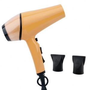 Secador de Pelo Profesional de Alta Potencia para Salones y Hogares, Cuidado Nutritivo del Cabello, Aire Frío, Luz Azul, Fragancia, Motor AC, Europeo - Product Image 1