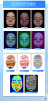 Analyseur d'images cutanées professionnel X5 AI 2026 – Détection complète du visage, 9 images spectrales, équipement d'analyse cutanée pour salon
