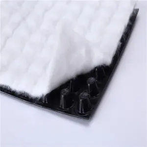 Construction Waterproof Plastic Sheet Fast Vertical Circulating Drainage Board Composite Drainage Board