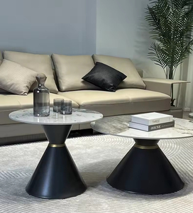 Mesa de Centro de Estilo Rock Plate para Sala de Estar, Mesa Redonda Simple para el Hogar, Combinación de Mesas de Centro Modernas de Lujo Ligero - Product Image 6