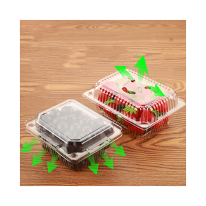 Tùy Chỉnh Rõ Ràng Cấp Thực Phẩm Nhựa Hiện Đại Sang Trọng Hongpeng Thương Hiệu Đóng Gói Chân Không Hộp Hình Chữ Nhật Biểu Tượng Tùy Chỉnh Bánh Pizza Bánh Hamburger - Product Image 2