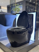 Abattant de toilettes moderne premium allongé en forme de V à dégagement rapide à un bouton, en matériau PP urée pour salle de bain