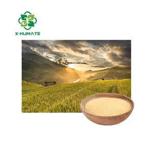 X-humate Fertilizer Agriculture Amino Acid Powder Amino Acid 80 Freely Offered