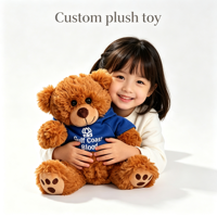 Fabricant OEM/ODM : Ours en peluche à motif de patte, ours en peluche à capuche, jouets en peluche personnalisés, ours en peluche de marque sur mesure
