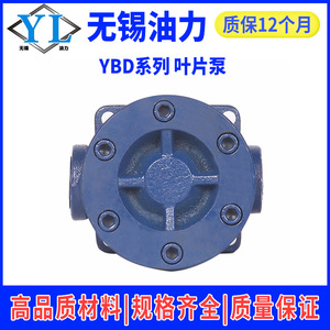 Pompe à palettes hydraulique série YBD haute pression, tête de pompe à huile hydraulique en tailles 6.3/10/16/20/25/32/40/63/80/100 pour applications hydrauliques - Product Image 5