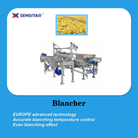 Ligne de production entièrement automatique de chips de banane et de plantain, capacité 300 kg/h