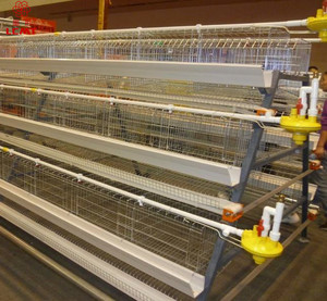 Gia Cầm Farming Thiết Bị Tự Động Một Loại Pin Đẻ Gà Mái Lồng - Product Image 1