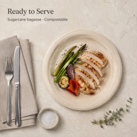 Plateau alimentaire en bagasse de canne à sucre, conteneur en bagasse, vente en gros, assiette en papier biodégradable, plat rond blanc, 100% compostable