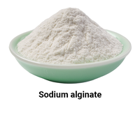 Prix en gros Alginate de sodium en poudre 99% CAS 9005-38-3 Alginate de sodium de qualité alimentaire