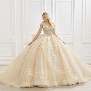 Robe de bal de Quinceañera Princesse Champagne, style princesse, avec décolleté cœur, appliques en dentelle, broderies, sequins, couleur bonbon et traîne chapelle, élégante - Product Image 1