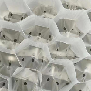 Pots de culture biodégradables <span class=keywords><strong>en</strong></span> nid d'abeille, coupelles de plantation <span class=keywords><strong>en</strong></span> plastique, plateaux de semis, sacs de pépinière pour légumes et fleurs - Product Image 2