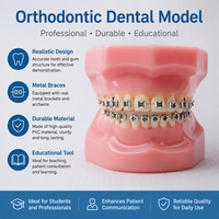 28 pièces de modèles d'appareils orthodontiques demi-métalliques et demi-céramiques pour l'entraînement en orthodontie des étudiants en dentisterie et la démonstration en laboratoire CE ROHS ISO