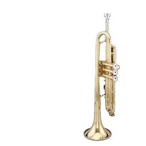Instrumentos musicais chineses trumpet bb tom melhor preço com boa qualidade
