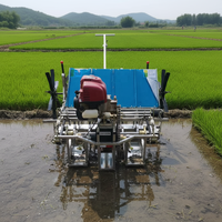 Prix EXW - Nouvelle transplanteuse de riz manuelle à 4 rangs, haute productivité, petite machine de plantation de riz avec composant moteur essentiel