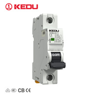 Disyuntor en miniatura KEDU CKDB2 4P de alto rendimiento 250V 10kA directo de fábrica con certificación tipo B/C/D/K VDE y CE CB