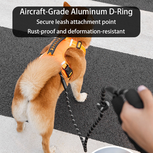 Nylon-Geschirr-Set für Hunde: Verstellbares, bequemes, luxuriöses und individuell anpassbares Set aus Halsband, Leine und Geschirr für Outdoor-Spaziergänge – umweltfreundlich - Product Image 2