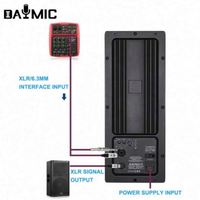 Amplificateur de puissance audio professionnel DJ 1000W en promotion, module amplificateur de puissance classe D pour haut-parleur actif professionnel
