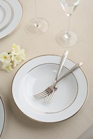 Service de table en porcelaine fine à bord doré, assiettes personnalisables avec logo, assiettes rondes en céramique pour mariages, banquets, hôtels et restaurants