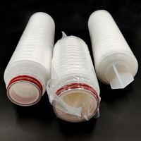 Cartouches filtrantes plissées offshore de 0,2 micron, 40 pouces, 222/226/fin, pour le traitement de l'eau par osmose inverse
